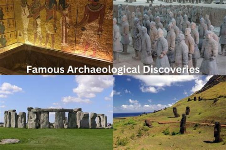 Discoveries And Insights For The Who37 Niche