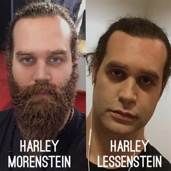 Harley Morenstein - BlogPaper