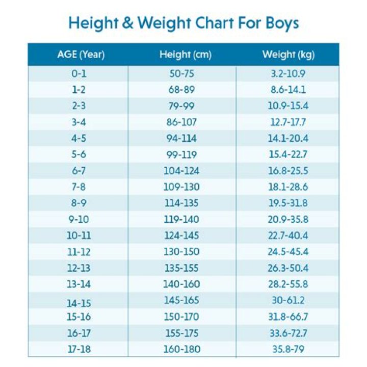 Lucy Hale's Weight And Height Explored